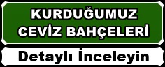 hascevizcilik-ceviz-bahceleri.jpg