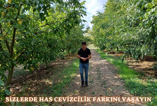 modern_ceviz_bahcesi.jpg